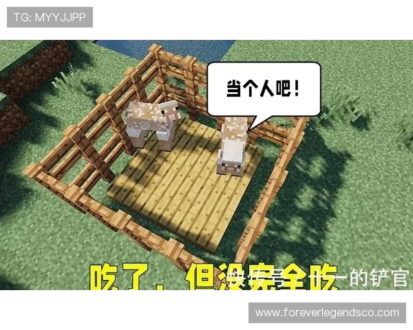 wm真人官方入口丰富的游戏种类，满足不同玩家的多样化娱乐需求