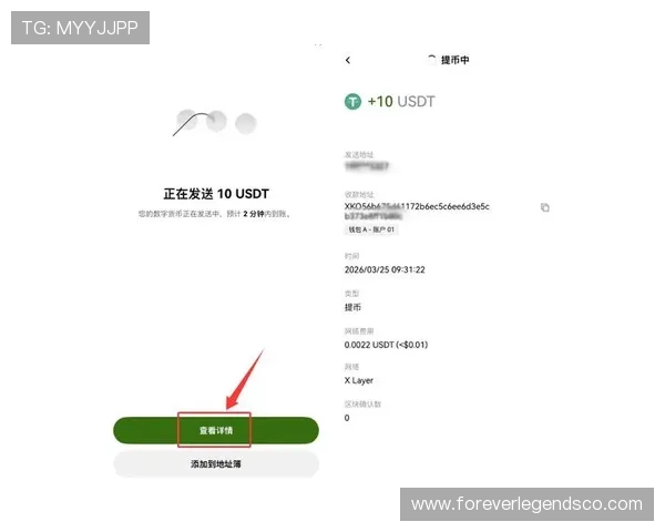 ob真人平台的支付方式与提现流程详解，确保每一笔交易安全便捷